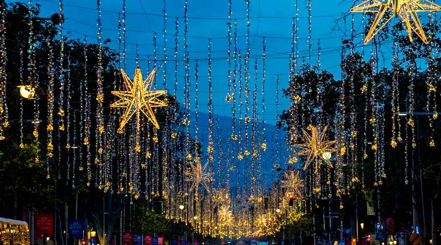 Barcelona y la otra Navidad: cuando la ciudad encuentra refugio en los locales de compañía